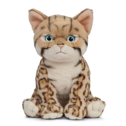 AN448 Bengal Kitten 16cm