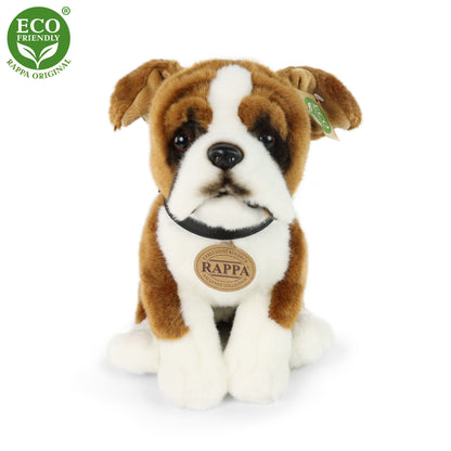 Plush Boxer with collar 27 cm