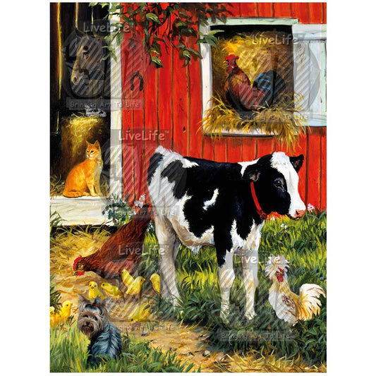 3D LiveLife Pictures - Barnyard Brood