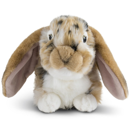 AN316B Dutch Lop Eared Rabbit Brown 30cm