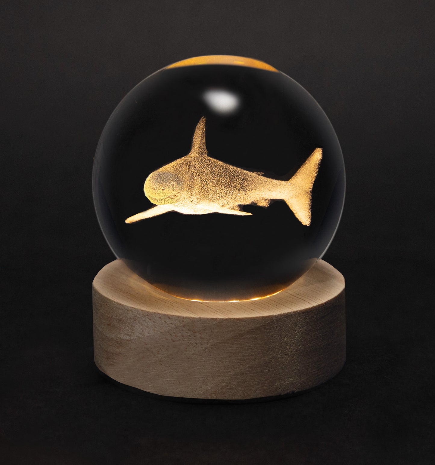 Crystal Silhouettes Globes - Great White Shark