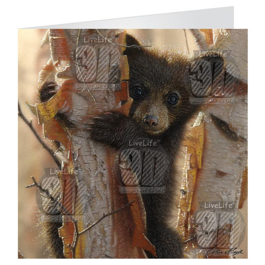 3D LiveLife Greetings Cards - Curious Cub