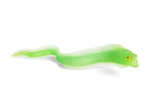 Rep Pals - Eel