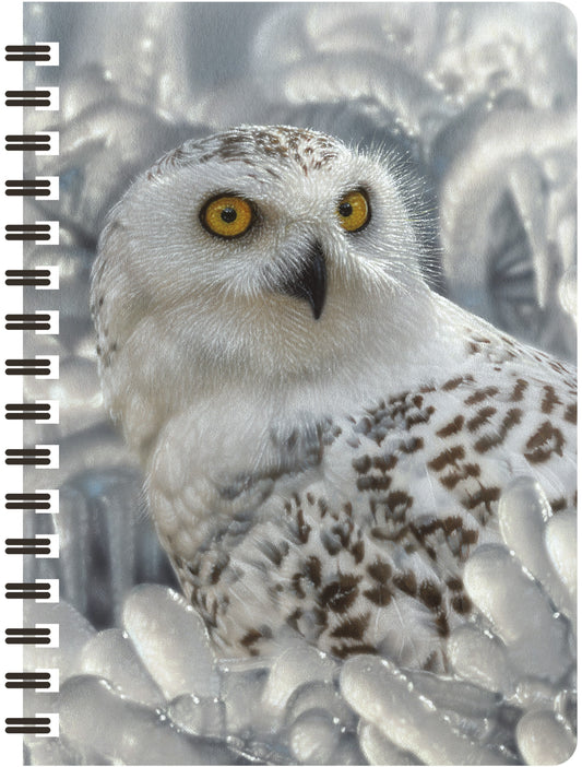 3D LiveLife Jotters - Snowy Owl Sanctuary