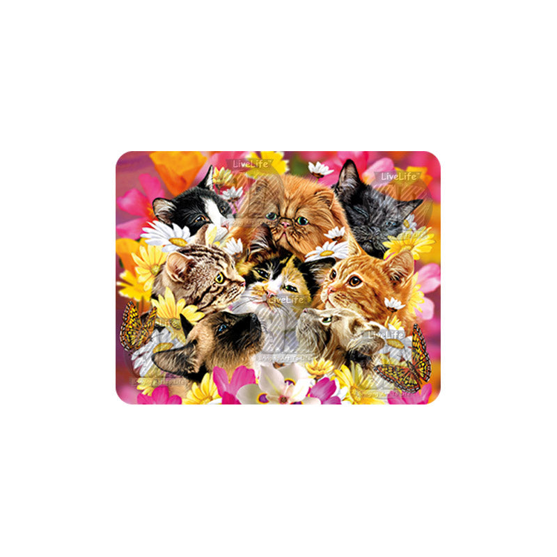 3D LiveLife Magnets - Cats