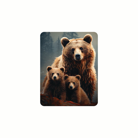 3D LiveLife Magnets - The Three Grizzly Bears