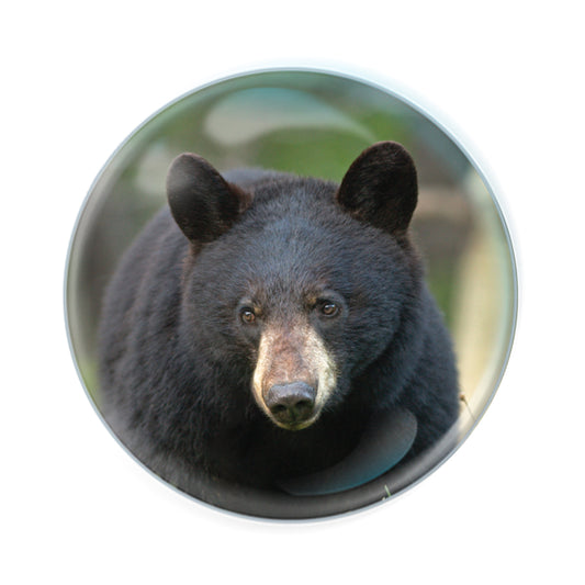 Magnidomes - Black Bear