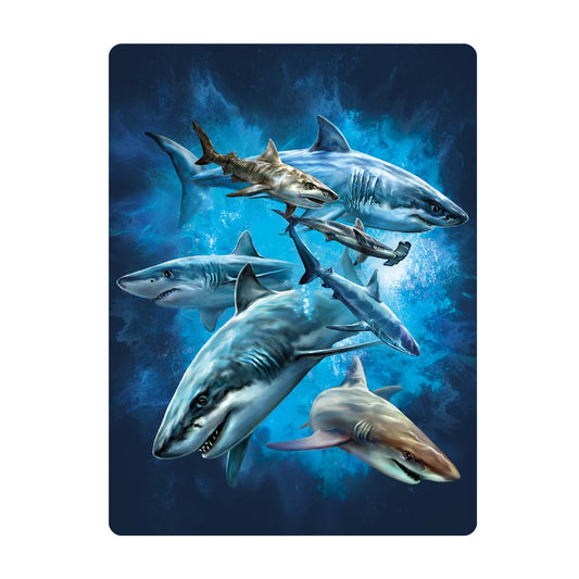 3D LiveLife Postcards - Shark Swim