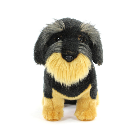 AN647 Wire Haired Dachshund