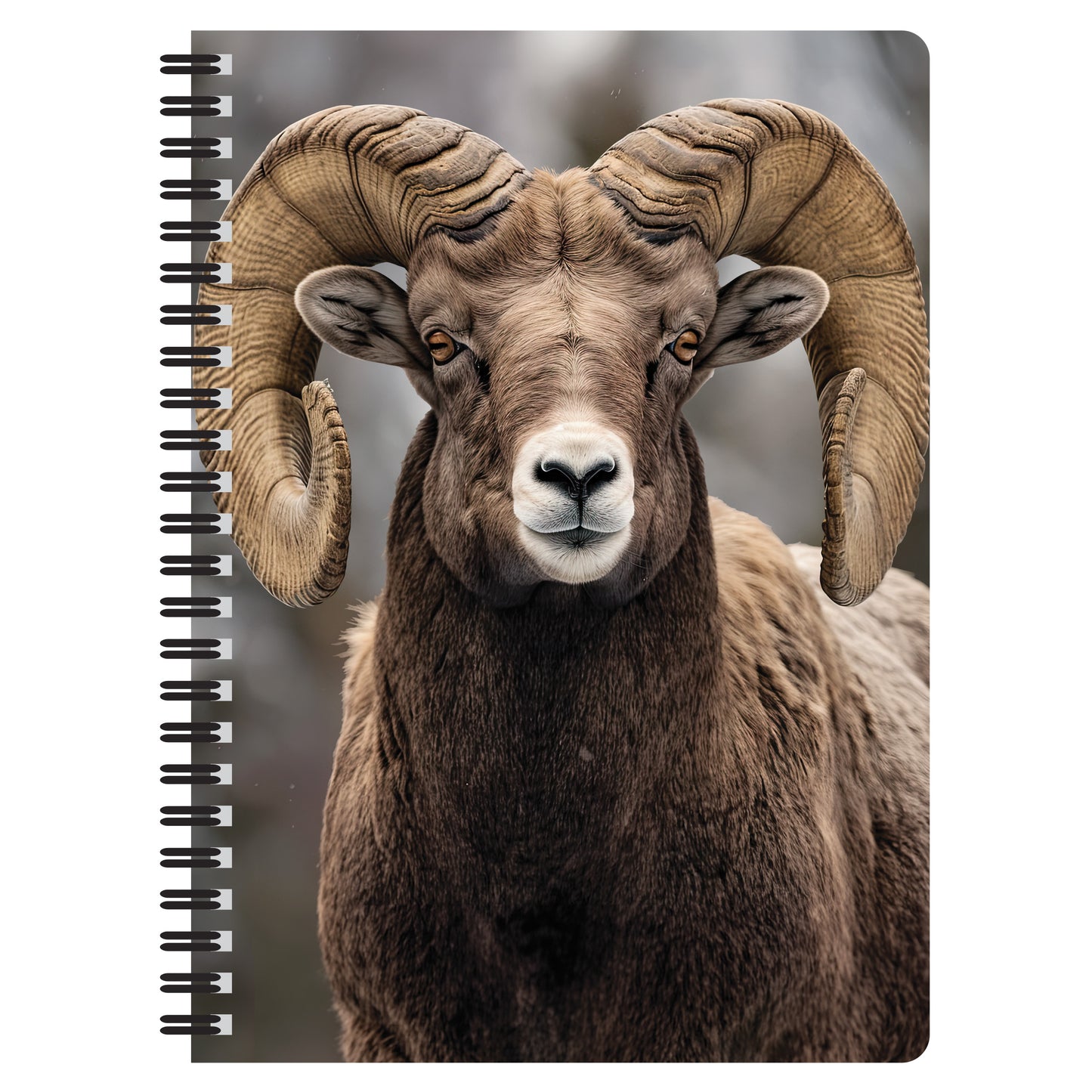 3D LiveLife Notebooks - Bighorn Sheep