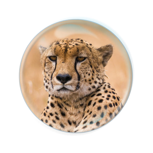 Magnidomes - Cheetah