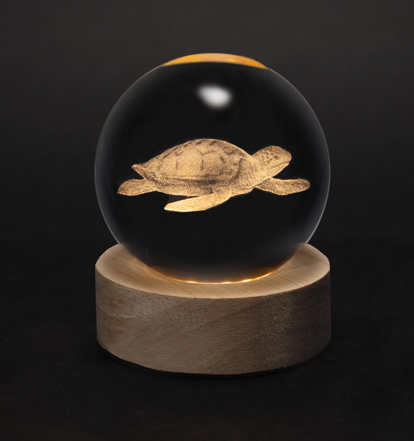 Crystal Silhouettes Globes - Sea Turtle