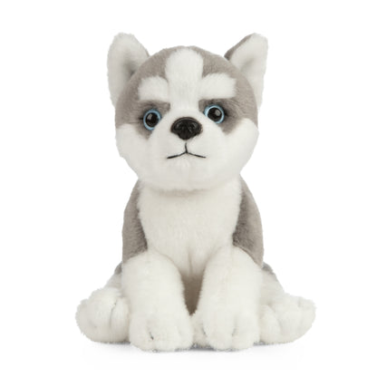AN445 Husky Puppy 16cm