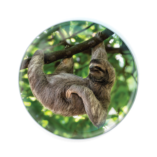 Magnidomes - Sloth