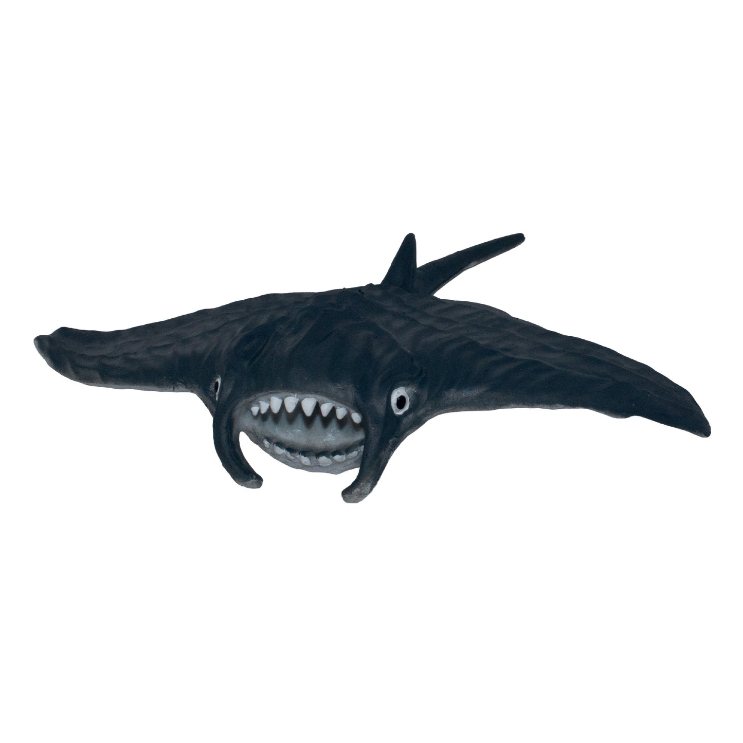 Rep Pals - Manta Ray