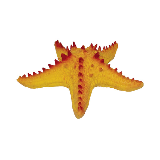 Rep Pals - Starfish