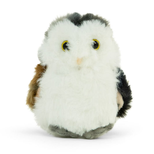 AN518 LITTLE Barn Owl 15cm