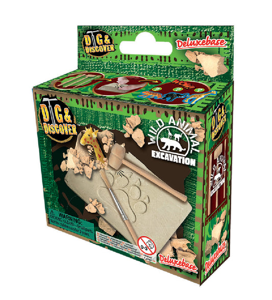 Dig & Discover Boxed - Wild