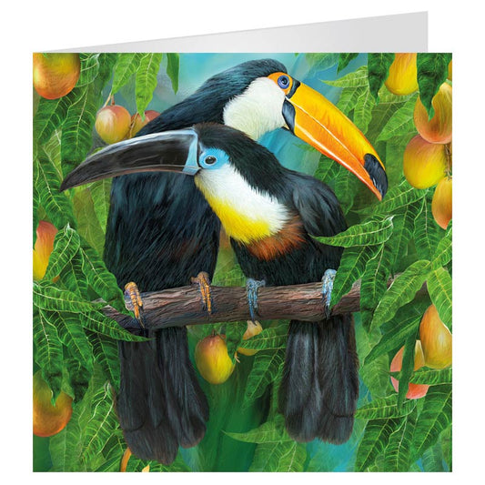 3D LiveLife Greetings Cards - Tropic Spirits Toucans