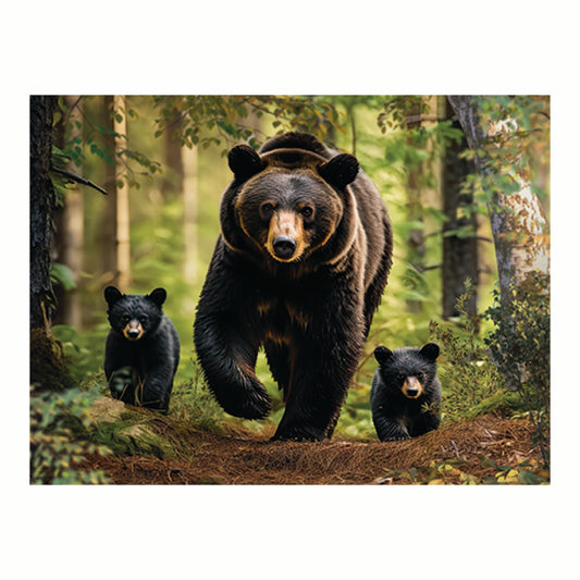 3D LiveLife Pictures - Black Bear Family Stroll