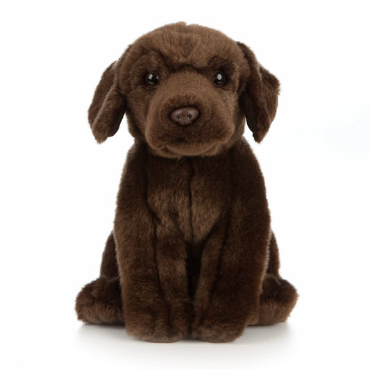 AN458 Chocolate Labrador 20cm