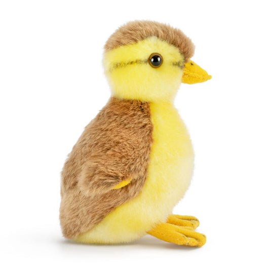 AN789 Mallard Duckling