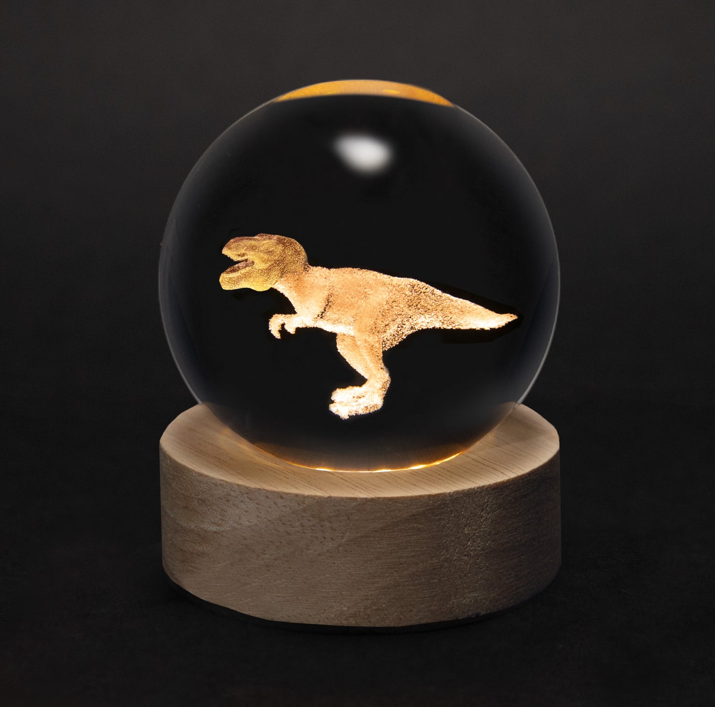 Crystal Silhouettes Globes - T-Rex