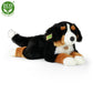 Plush Bernese dog 61 cm