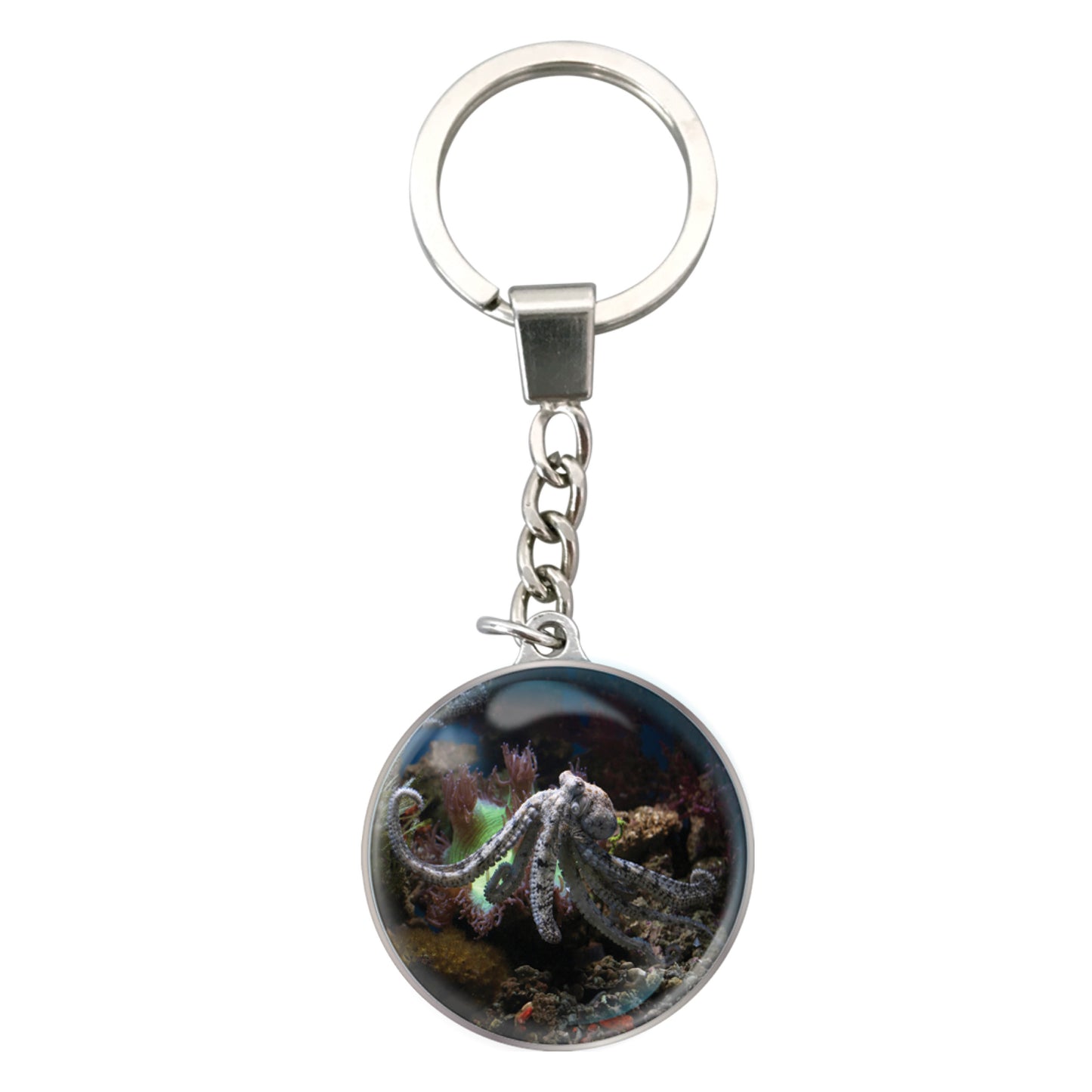 Magnidome Keychains - Octopus