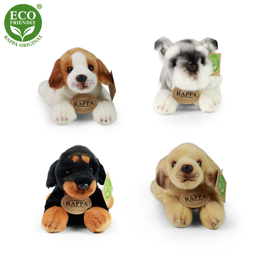 Plush dogs assort DISPLAY