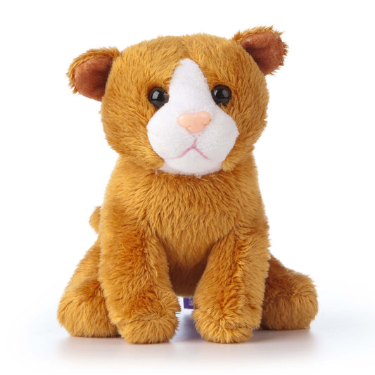 AN521 SMOLS Kitten 15cm