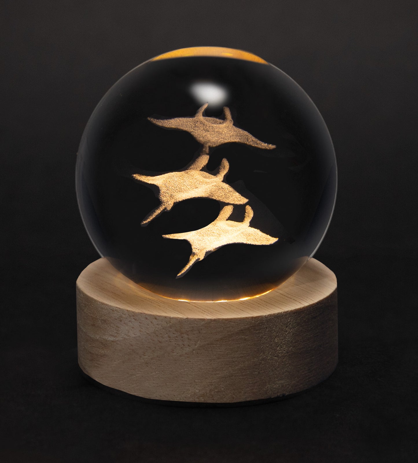 Crystal Silhouettes Globes - Rays