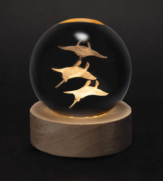 Crystal Silhouettes Globes - Rays