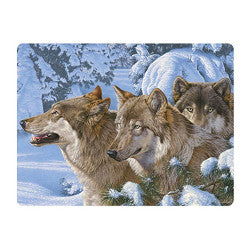 3D LiveLife Postcards - Winters' Warmth