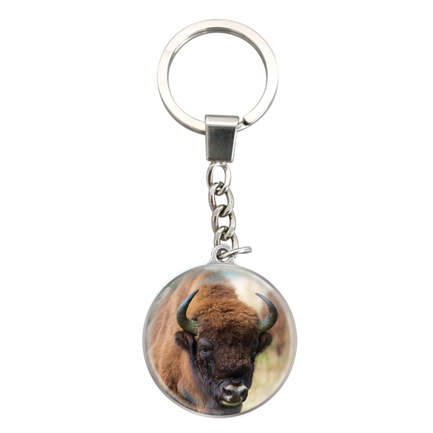 Magnidome Keychains - Bison