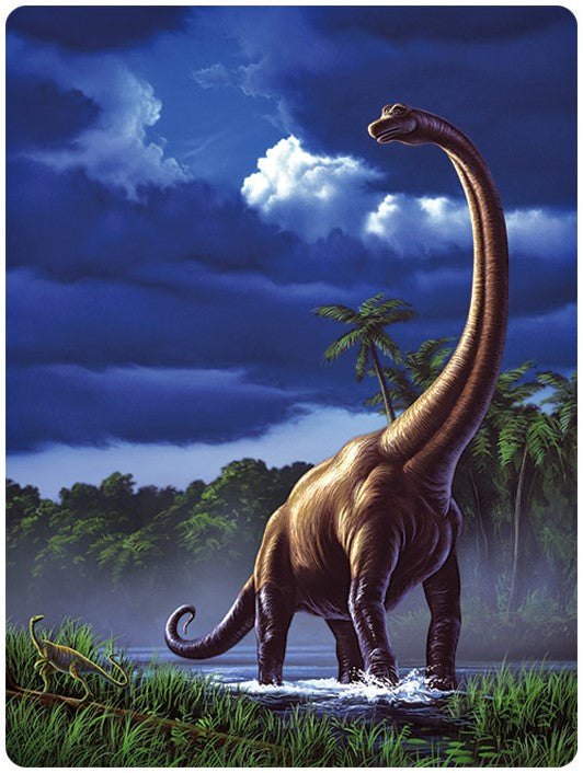 3D LiveLife Postcards - Brachiosaurus