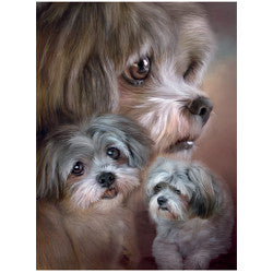 3D LiveLife Pictures - Lhasa Apso