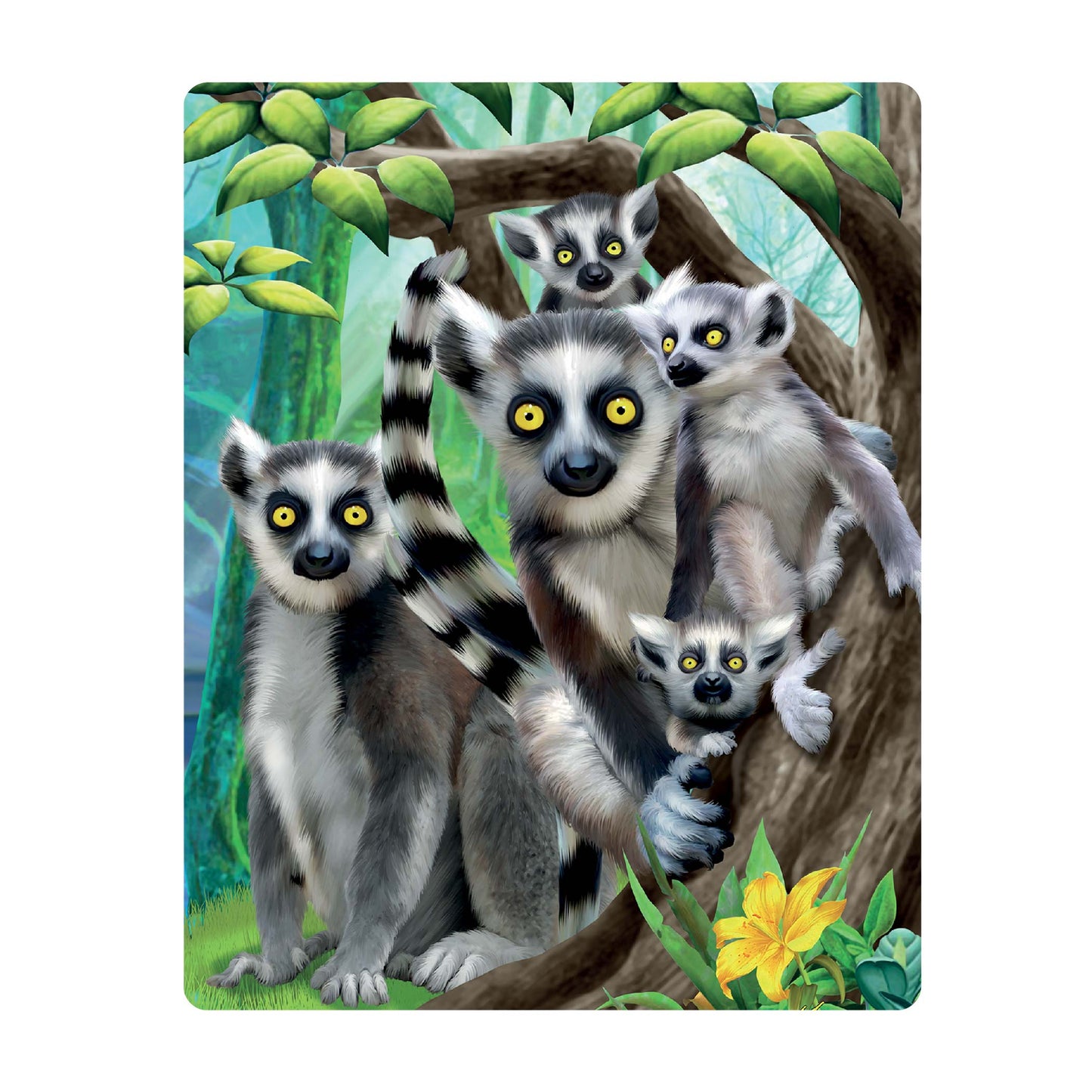 3D LiveLife Postcards - Ring-Tailed Lemurs
