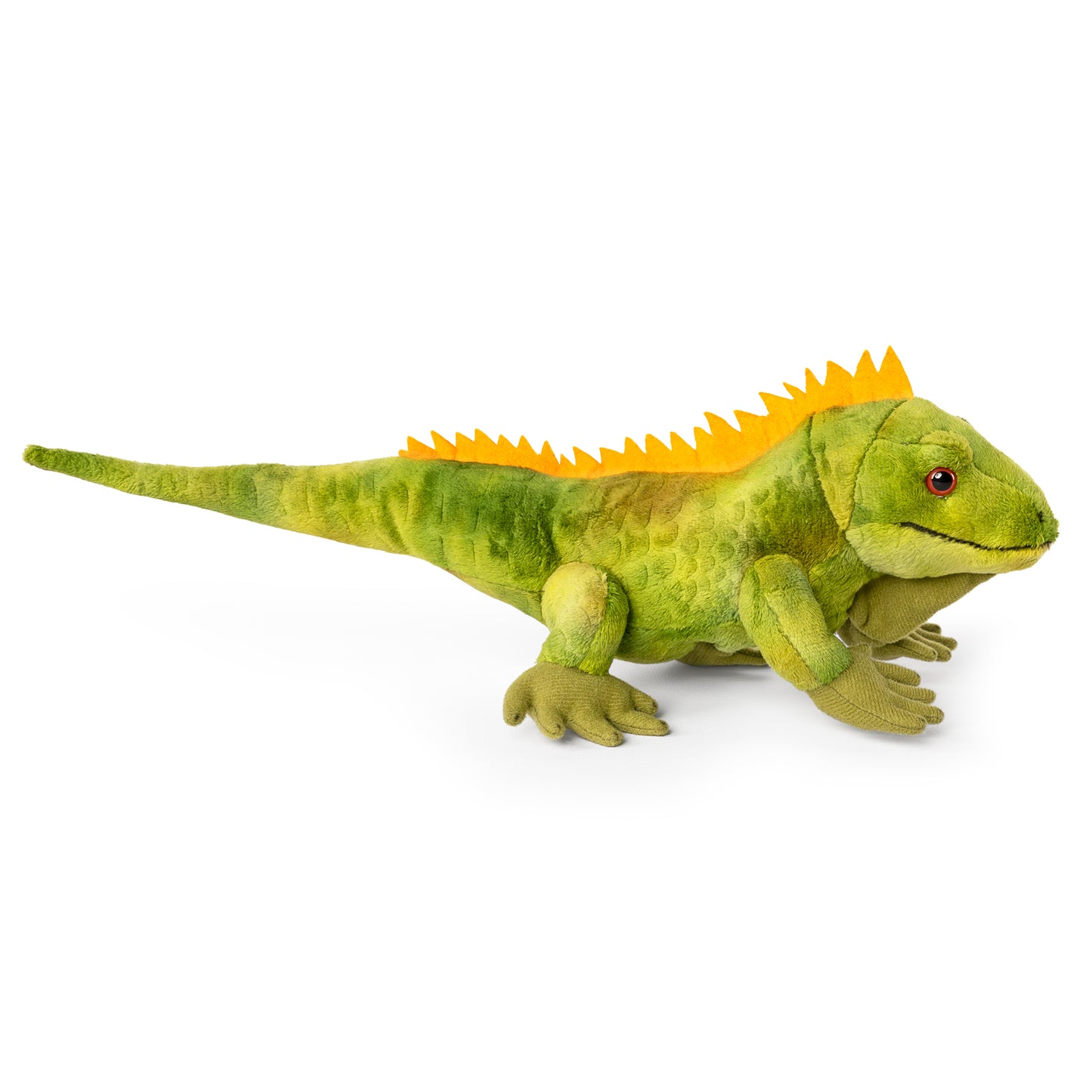 AN708 Iguana 35cm