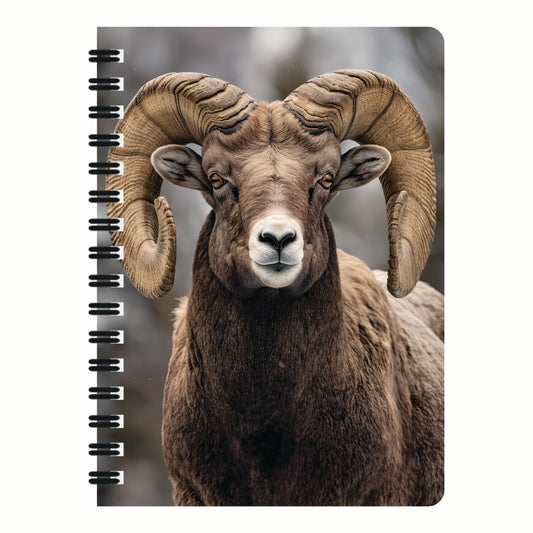 3D LiveLife Jotters - Bighorn Sheep
