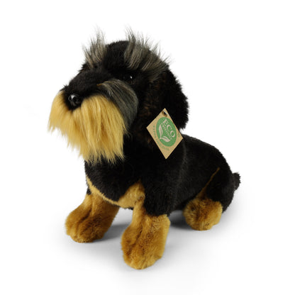 Plush Wire-haired Dachshund 30 cm
