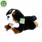 Plush Bernese 30 cm