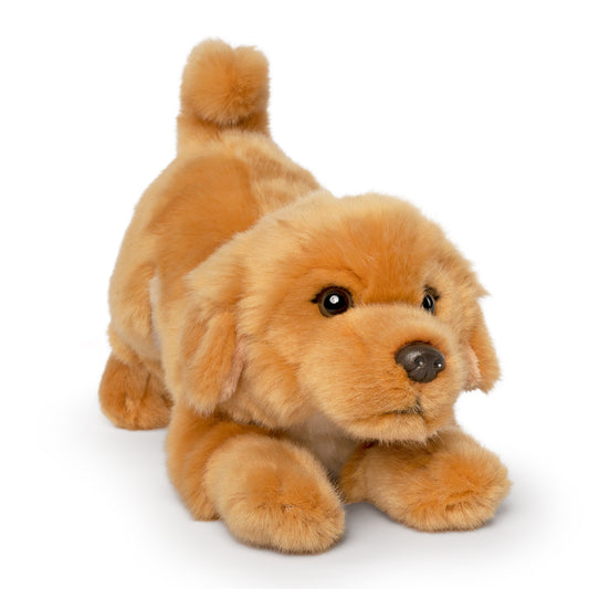 AN703 Golden Retriever Playful Pup 27cm