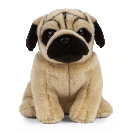 AN454 Pug 20cm