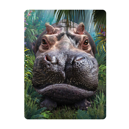 3D LiveLife Postcards - Close Encounter