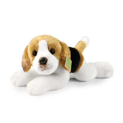 Plush Beagle 30 cm