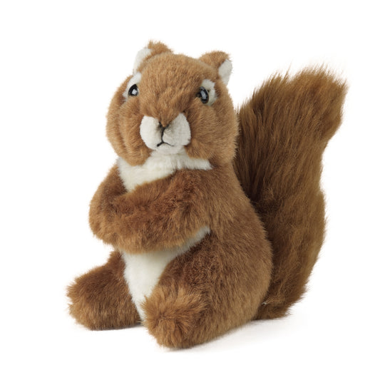 AN48 Squirrel Medium 14cm