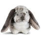 AN316G Dutch Lop Eared Rabbit Grey 30cm