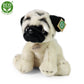Plush pug 30 cm
