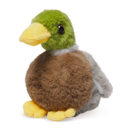 AN514 LITTLE Mallard Duck 15cm